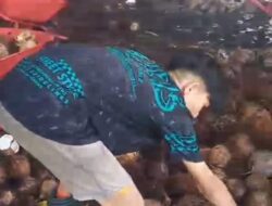 Dugaan Eksploitasi Anak Oleh Perusahan Kawanua Coconut Nusantara : Erwin Schouten Kami Akan Mengecek Langsung Dan Akan Berkoordinasi Dengan Disnaker