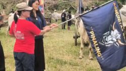 Serunya Pacuan Roda Sapi Tradisional Di Desa Pinaling Didukung Penuh Oleh Ketua DPC Partai Gerindra Minsel Esther Kalangi