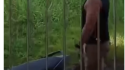 Dirut PT Tri Mustika COCO Minaesa Ko Vano Melakukan Perusakan Dan Pengancaman Terhadap Warga