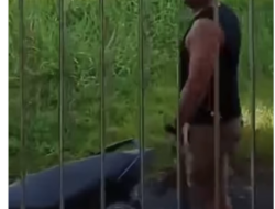 Dirut PT Tri Mustika COCO Minaesa Ko Vano Melakukan Perusakan Dan Pengancaman Terhadap Warga